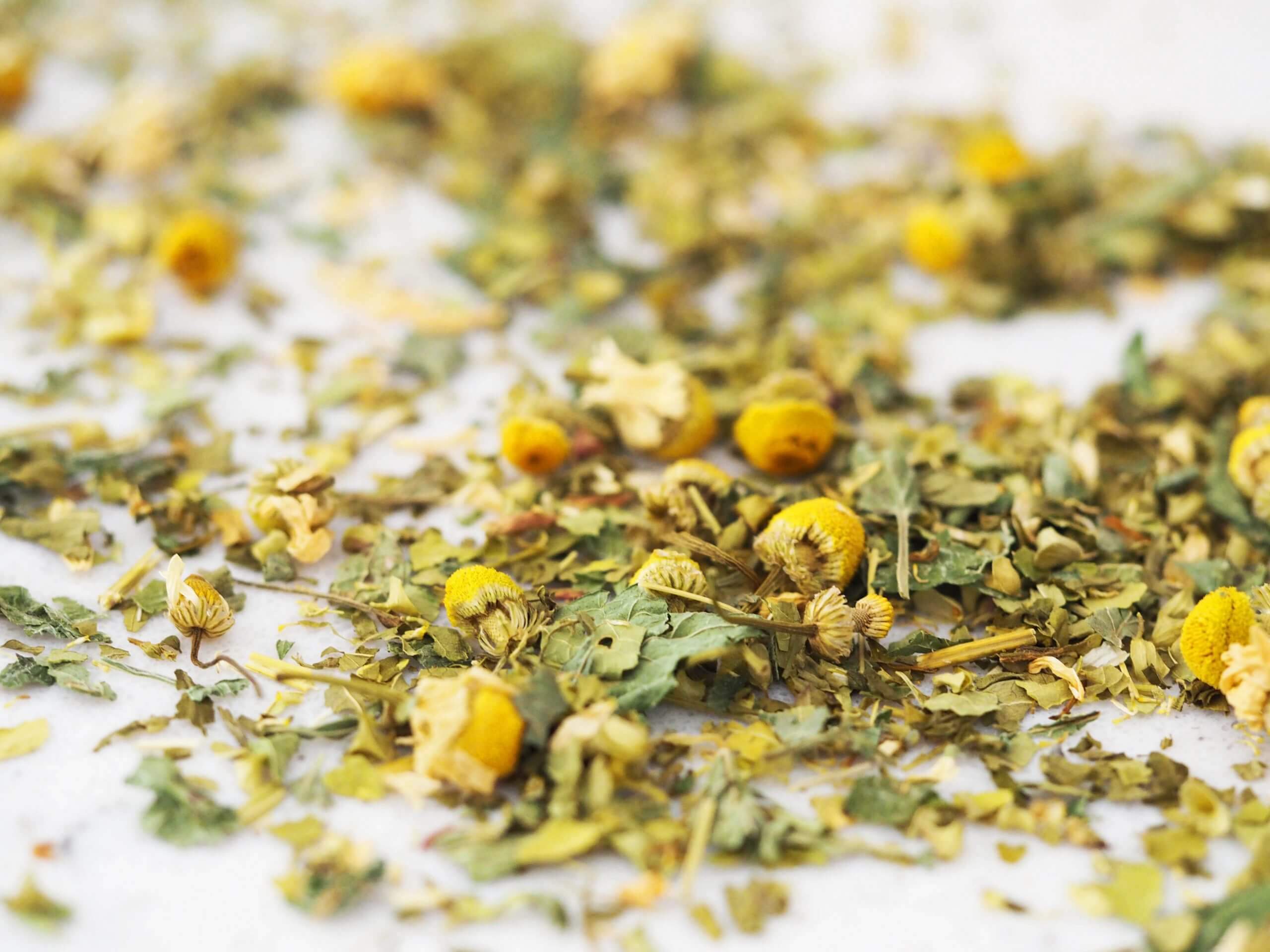 Bamboo Pull On Sleep Bra + Restful Slumber Tea Set - Image 13